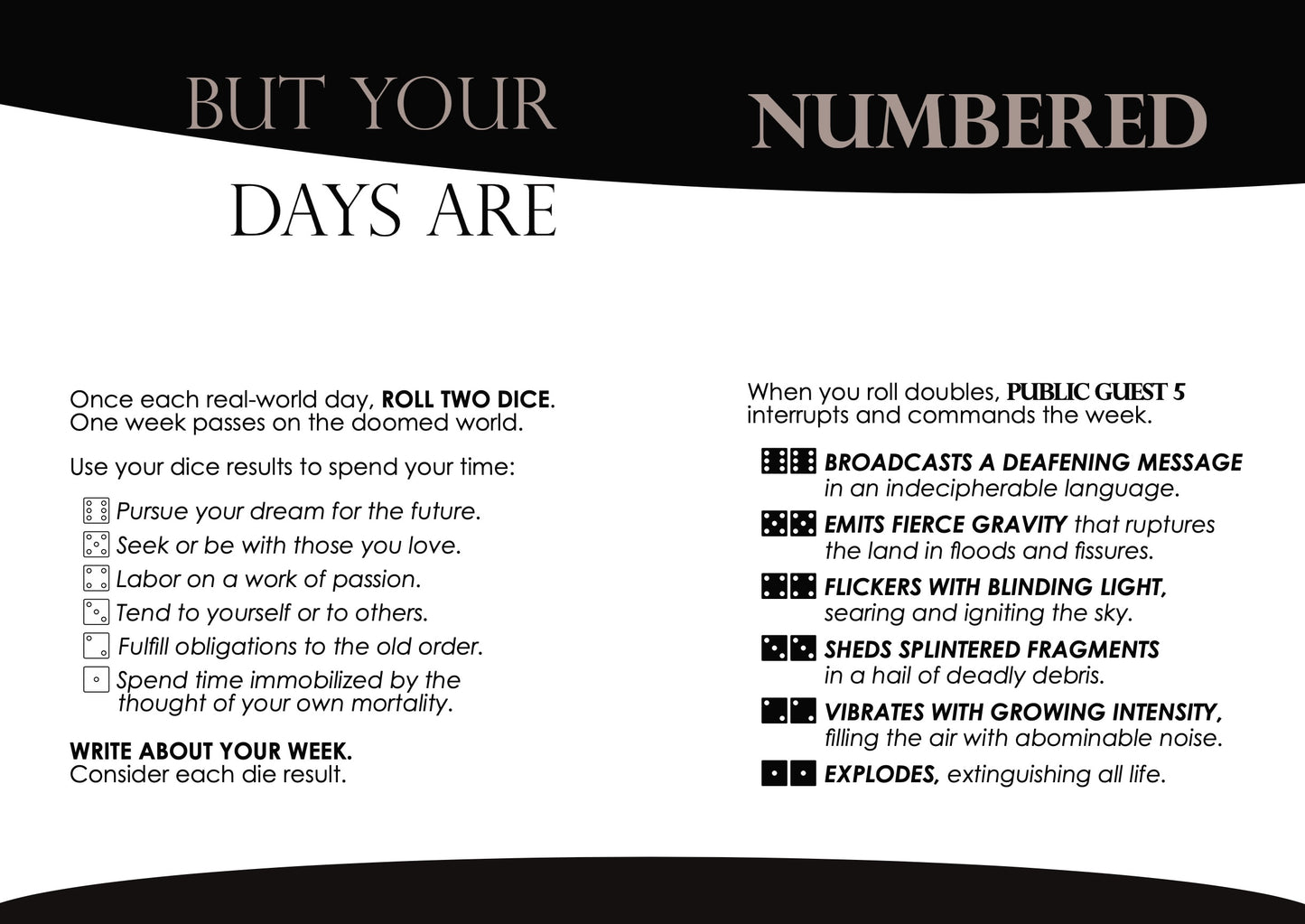 Public Guest 5 (Notebook Version)